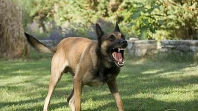 שתי תקיפות שונות במהלך סוף השבוע